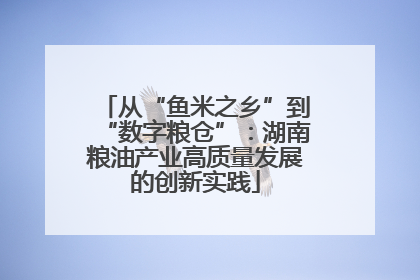 从“鱼米之乡”到“数字粮仓”：湖南粮油产业高质量发展的创新实践