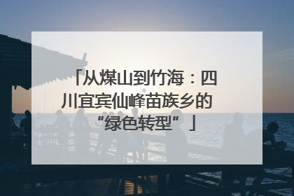 从煤山到竹海：四川宜宾仙峰苗族乡的“绿色转型”