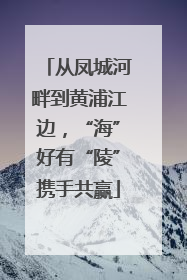 从凤城河畔到黄浦江边，“海”好有“陵”携手共赢