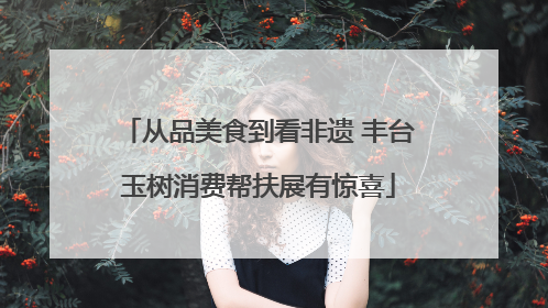 从品美食到看非遗 丰台玉树消费帮扶展有惊喜