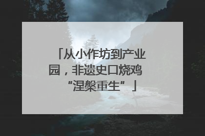 从小作坊到产业园，非遗史口烧鸡“涅槃重生”