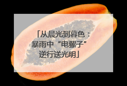从晨光到暮色：暴雨中“电骡子”逆行送光明