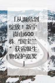 从濒危到绽放！新宁崀山600株“国宝兰”获省级生物保护嘉奖