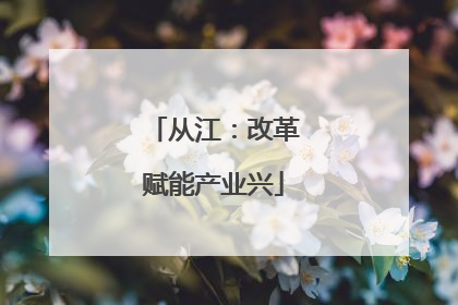 从江：改革赋能产业兴