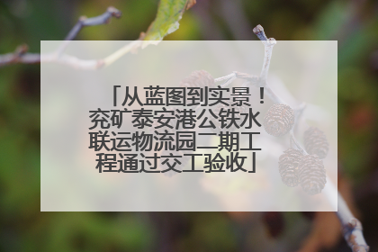 从蓝图到实景！兖矿泰安港公铁水联运物流园二期工程通过交工验收