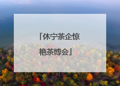 休宁茶企惊艳茶博会