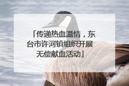 传递热血温情，东台市许河镇组织开展无偿献血活动