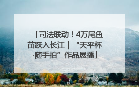 司法联动！4万尾鱼苗跃入长江｜“天平杯·随手拍”作品展播