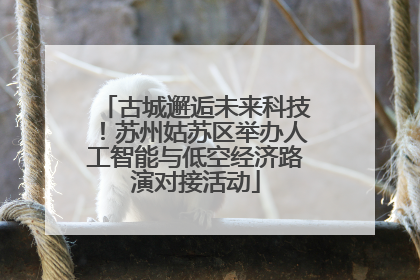 古城邂逅未来科技！苏州姑苏区举办人工智能与低空经济路演对接活动