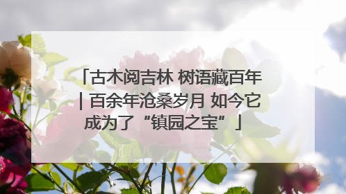 古木阅吉林 树语藏百年｜百余年沧桑岁月 如今它成为了“镇园之宝”