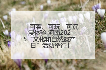 可看、可玩、可沉浸体验 河南2025“文化和自然遗产日”活动举行