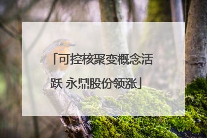 可控核聚变概念活跃 永鼎股份领涨