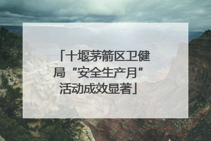 十堰茅箭区卫健局“安全生产月”活动成效显著