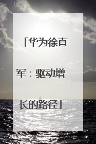华为徐直军：驱动增长的路径