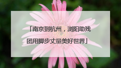 南京到杭州，浏阳助残团用脚步丈量美好世界