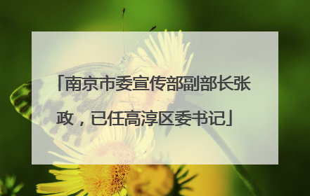 南京市委宣传部副部长张政，已任高淳区委书记