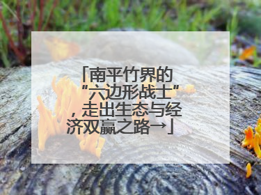 南平竹界的 “六边形战士”，走出生态与经济双赢之路→