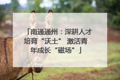 南通通州：深耕人才培育“沃土” 激活青年成长“磁场”