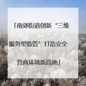 南郊街道创新“三维服务型监管”打造安全营商环境新高地