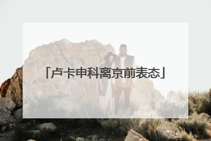 卢卡申科离京前表态