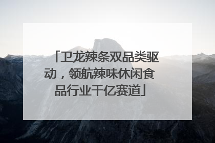 卫龙辣条双品类驱动，领航辣味休闲食品行业千亿赛道
