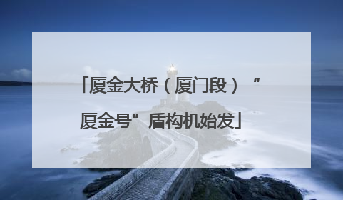 厦金大桥（厦门段）“厦金号”盾构机始发