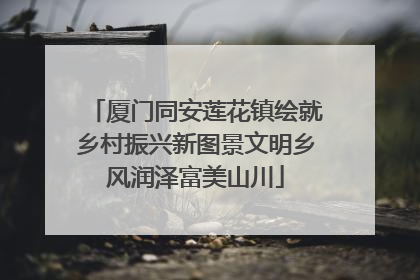 厦门同安莲花镇绘就乡村振兴新图景文明乡风润泽富美山川