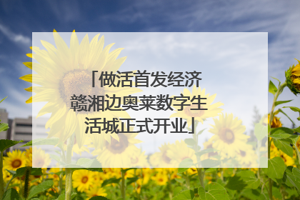 做活首发经济 赣湘边奥莱数字生活城正式开业