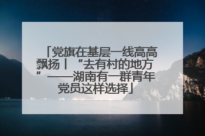 党旗在基层一线高高飘扬丨“去有村的地方”——湖南有一群青年党员这样选择