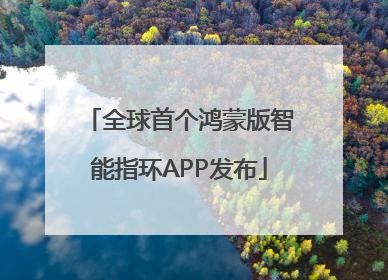 全球首个鸿蒙版智能指环APP发布
