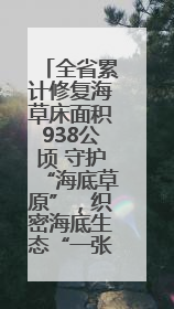 全省累计修复海草床面积938公顷 守护“海底草原”，织密海底生态“一张网”