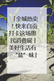 全城热卖！快来自贡打卡这场惠民消费展丨美好生活有“盐”味