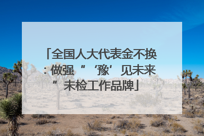 全国人大代表金不换：做强“‘豫’见未来”未检工作品牌