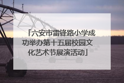 六安市雷锋路小学成功举办第十五届校园文化艺术节展演活动
