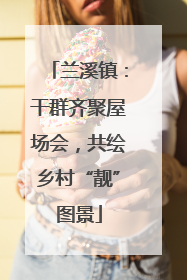 兰溪镇：干群齐聚屋场会，共绘乡村“靓”图景