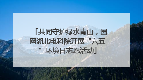 共同守护绿水青山，国网湖北电科院开展“六五”环境日志愿活动
