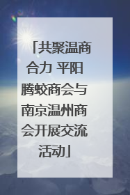 共聚温商合力 平阳腾蛟商会与南京温州商会开展交流活动