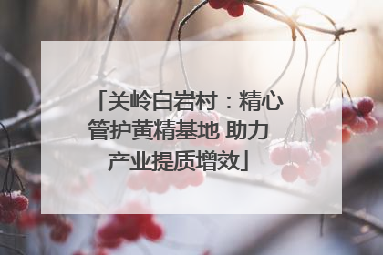 关岭白岩村：精心管护黄精基地 助力产业提质增效
