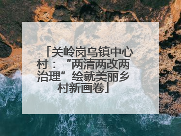 关岭岗乌镇中心村：“两清两改两治理”绘就美丽乡村新画卷
