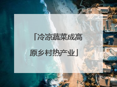 冷凉蔬菜成高原乡村热产业