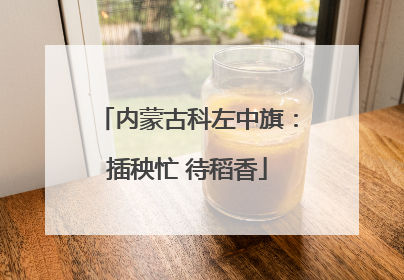 内蒙古科左中旗：插秧忙 待稻香