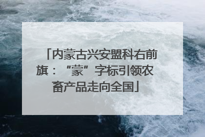 内蒙古兴安盟科右前旗：“蒙”字标引领农畜产品走向全国