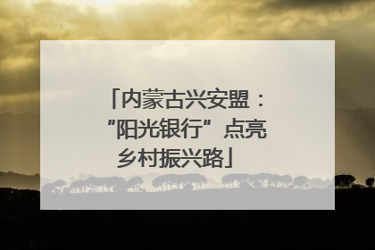 内蒙古兴安盟：“阳光银行”点亮乡村振兴路