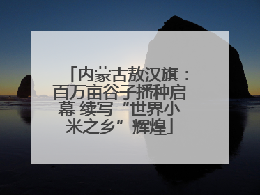 内蒙古敖汉旗：百万亩谷子播种启幕 续写“世界小米之乡”辉煌