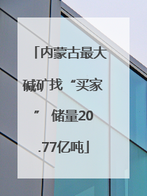 内蒙古最大碱矿找“买家” 储量20.77亿吨