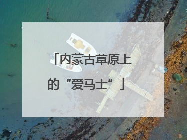 内蒙古草原上的“爱马士”