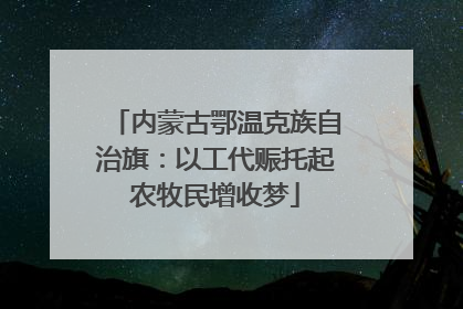 内蒙古鄂温克族自治旗：以工代赈托起农牧民增收梦