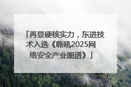 再显硬核实力，东进技术入选《嘶吼2025网络安全产业图谱》
