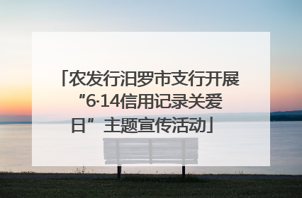 农发行汨罗市支行开展“6·14信用记录关爱日”主题宣传活动