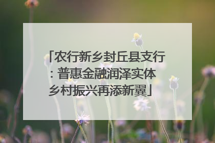 农行新乡封丘县支行：普惠金融润泽实体 乡村振兴再添新翼